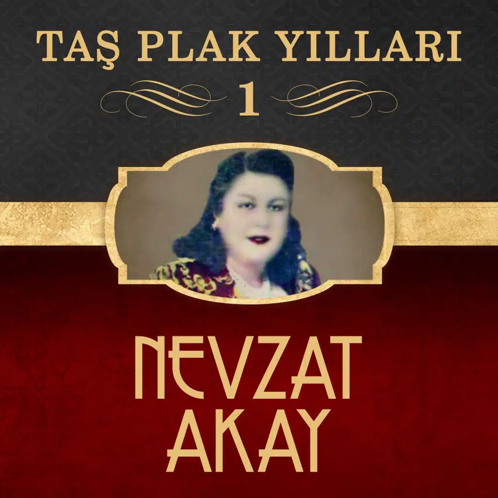 Taş Plak Yılları, Vol. 1