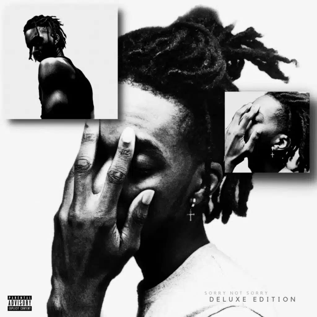 SORRY NOT SORRY (DELUXE EDITION)