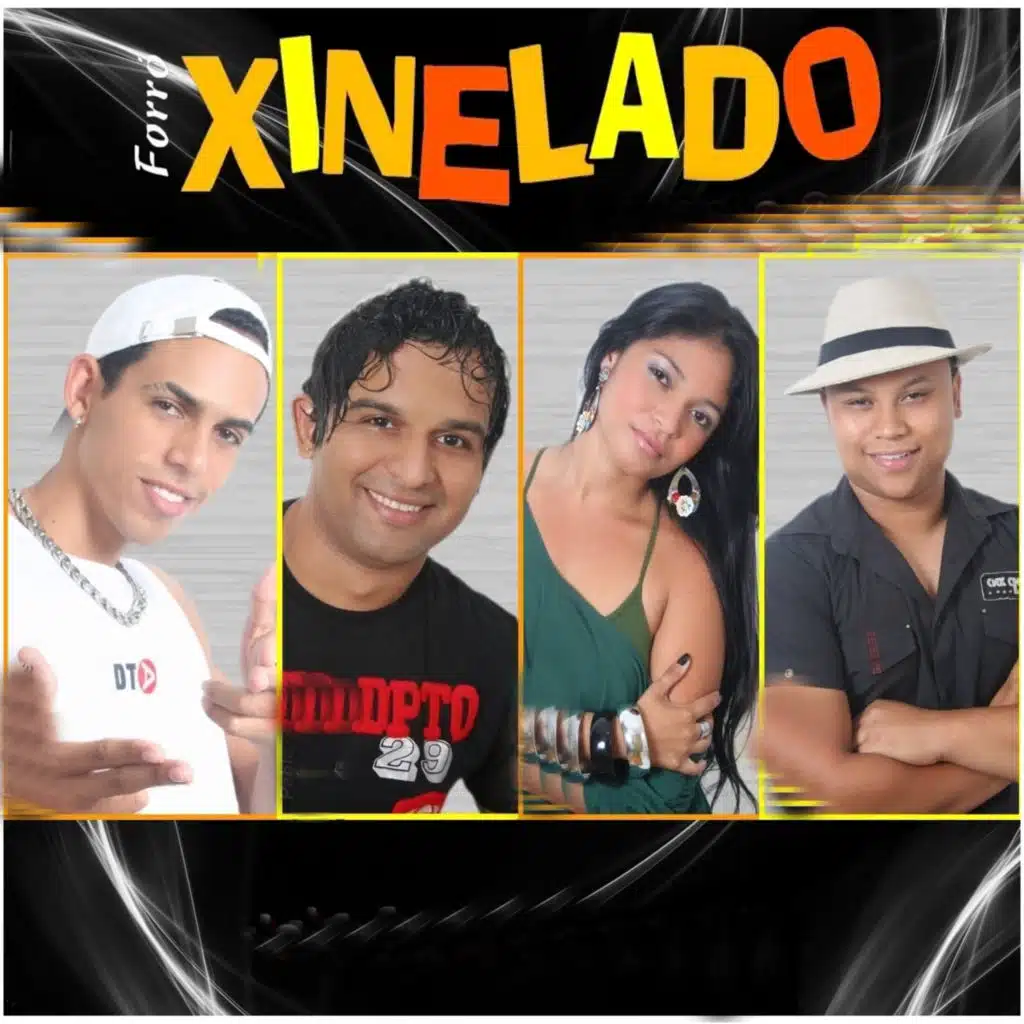 Forró Xinelado de Cara Nova, Vol. 1