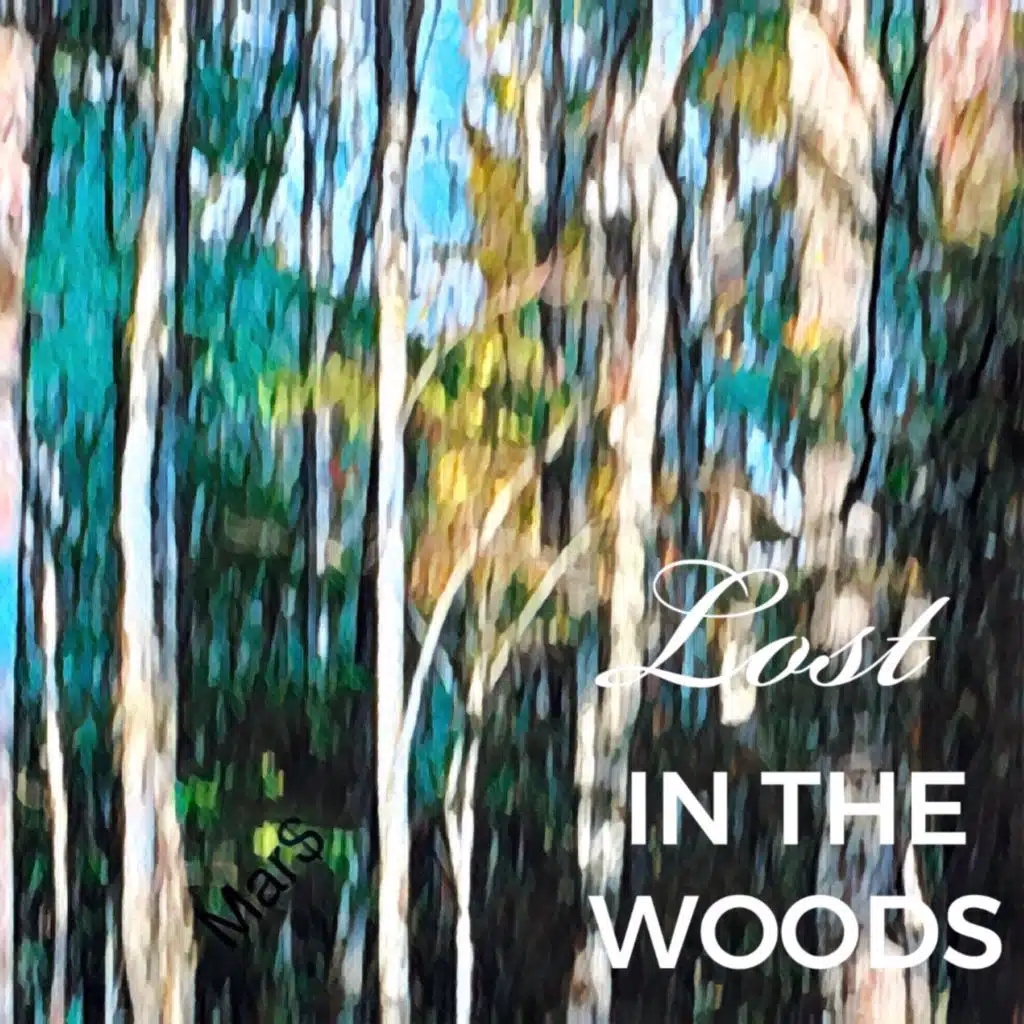 Lost In The Woods