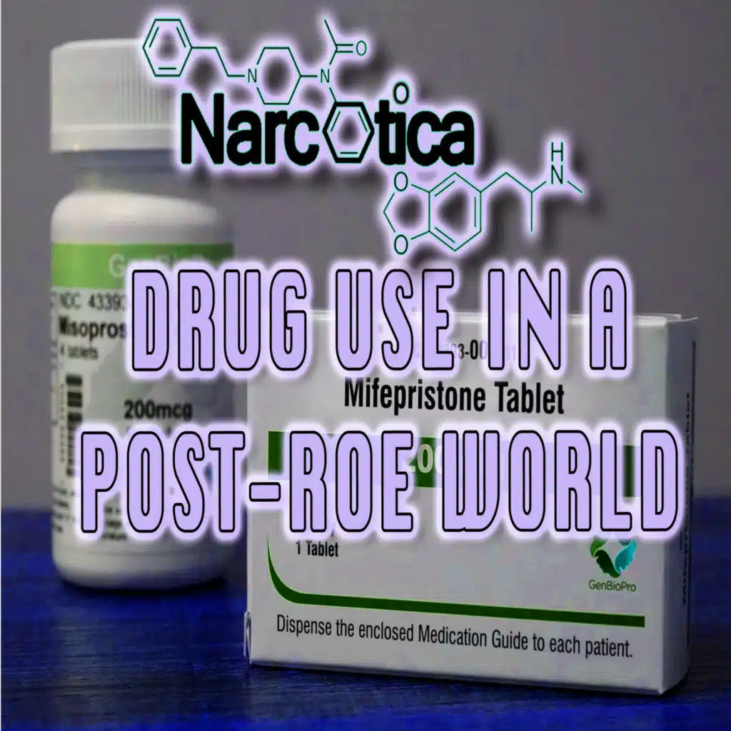 Episode 78: Drug Use in a Post-Roe World with Dinah Ortiz