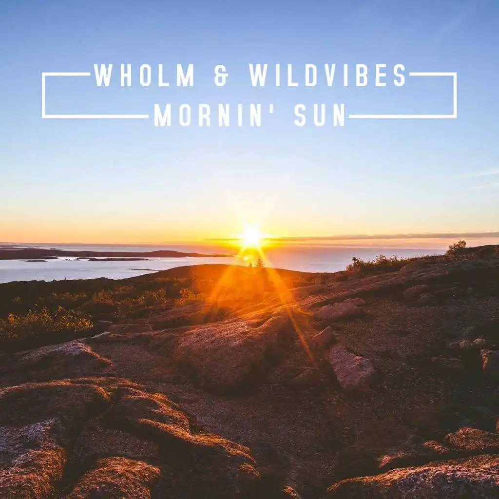 Wholm & WildVibes