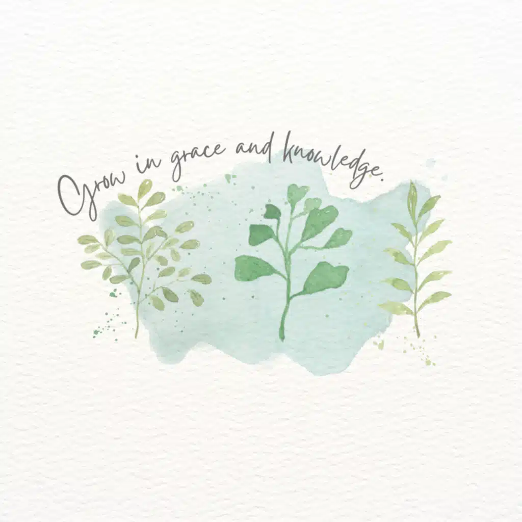 Episode 18: Chinese 101 (Learn Basic Greetings) & Top 3 Food Recommendations in Chinatown, NYC📍