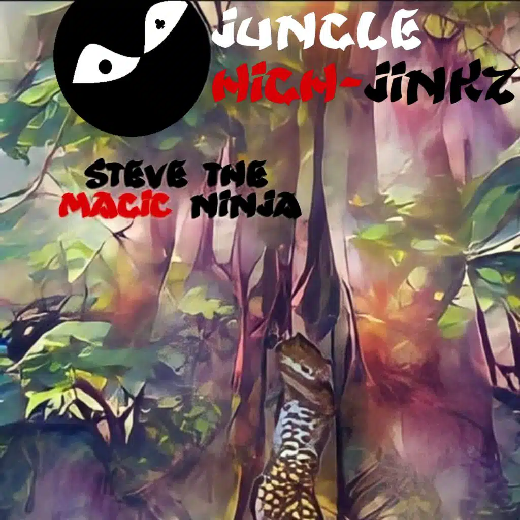 Steve the Magic Ninja