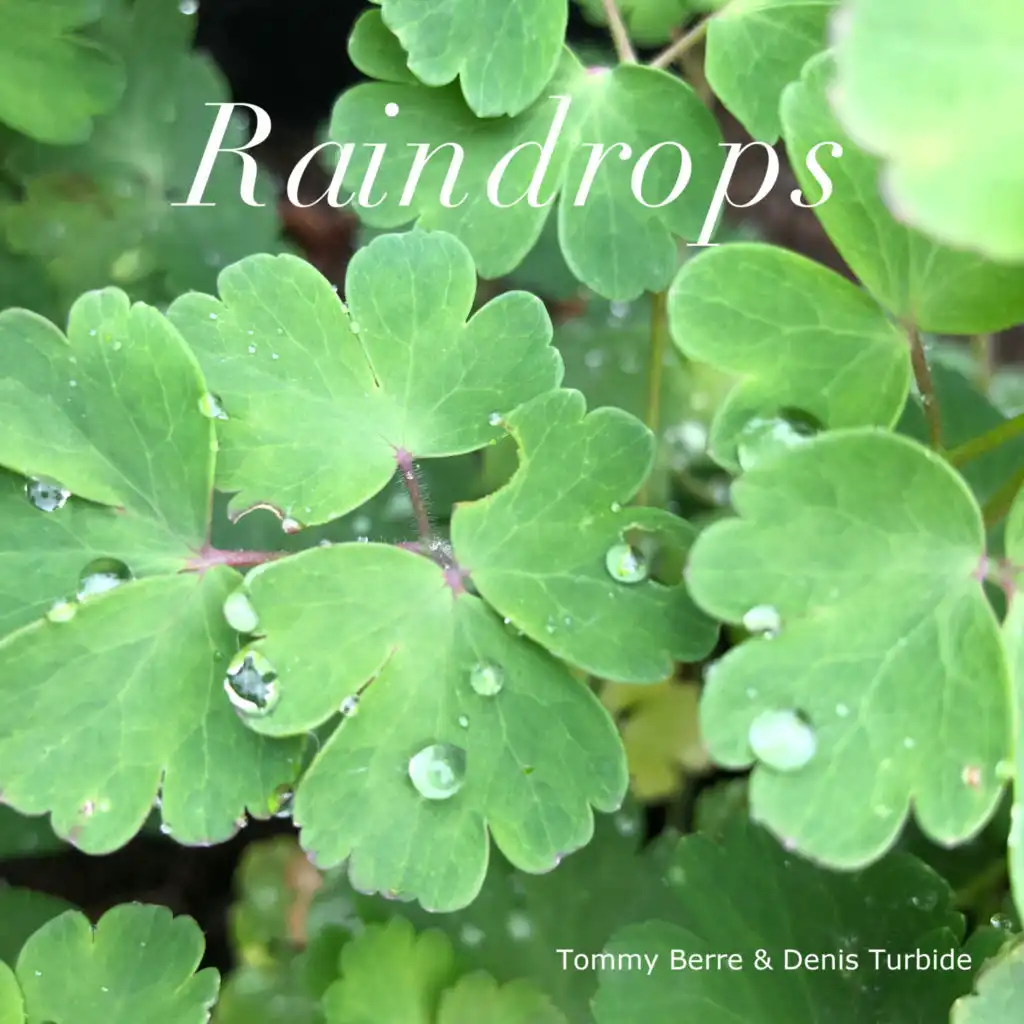 Raindrops