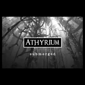 Athyrium