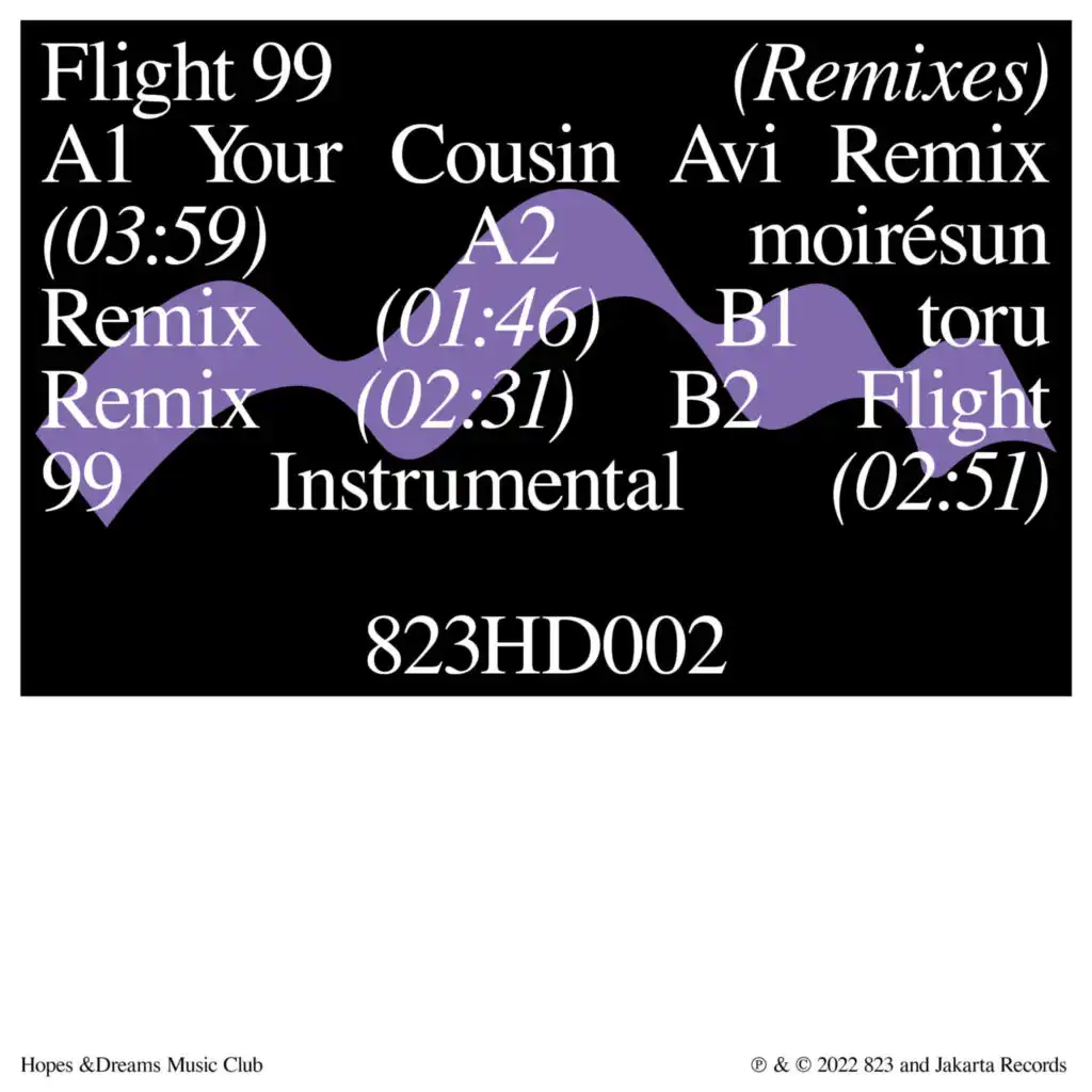 Flight 99 (Your Cousin Avi Remix) [feat. Ta-ku & matt mcwaters]