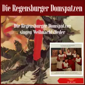 Die Regensburger Domspatzen