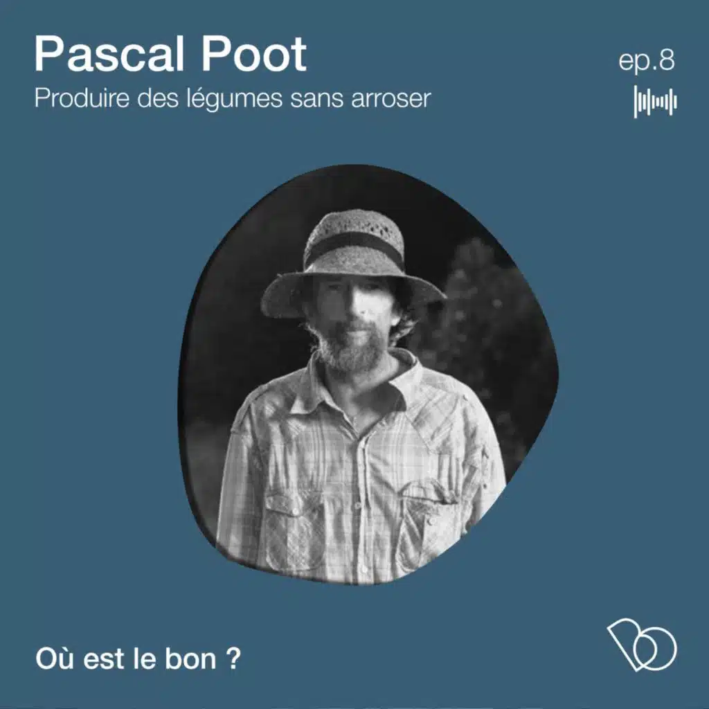 #8- Pascal Poot fait pousser des légumes  sans arroser une goute d'eau - l'incroyable secret des semences anciennes 🌍