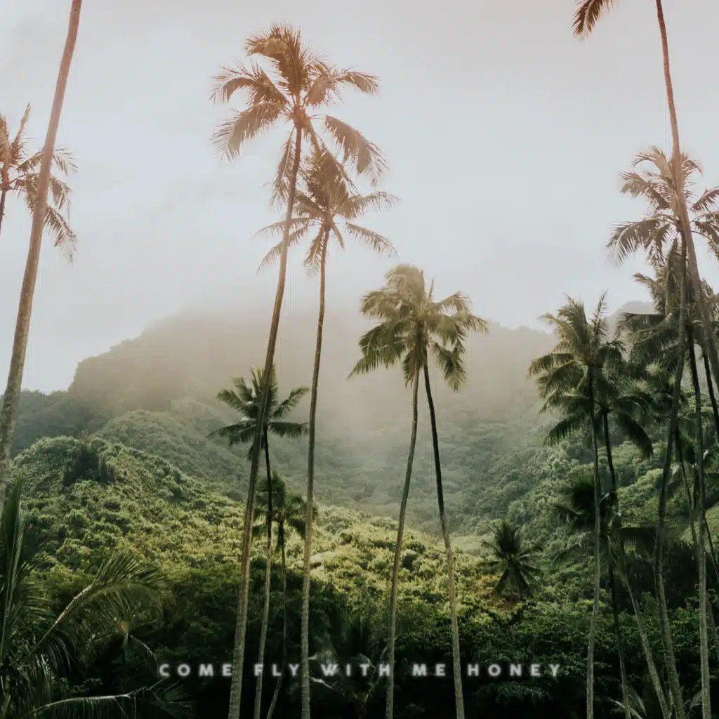 Come Fly With Me Honey