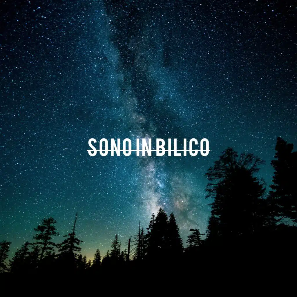 Sono In Bilico