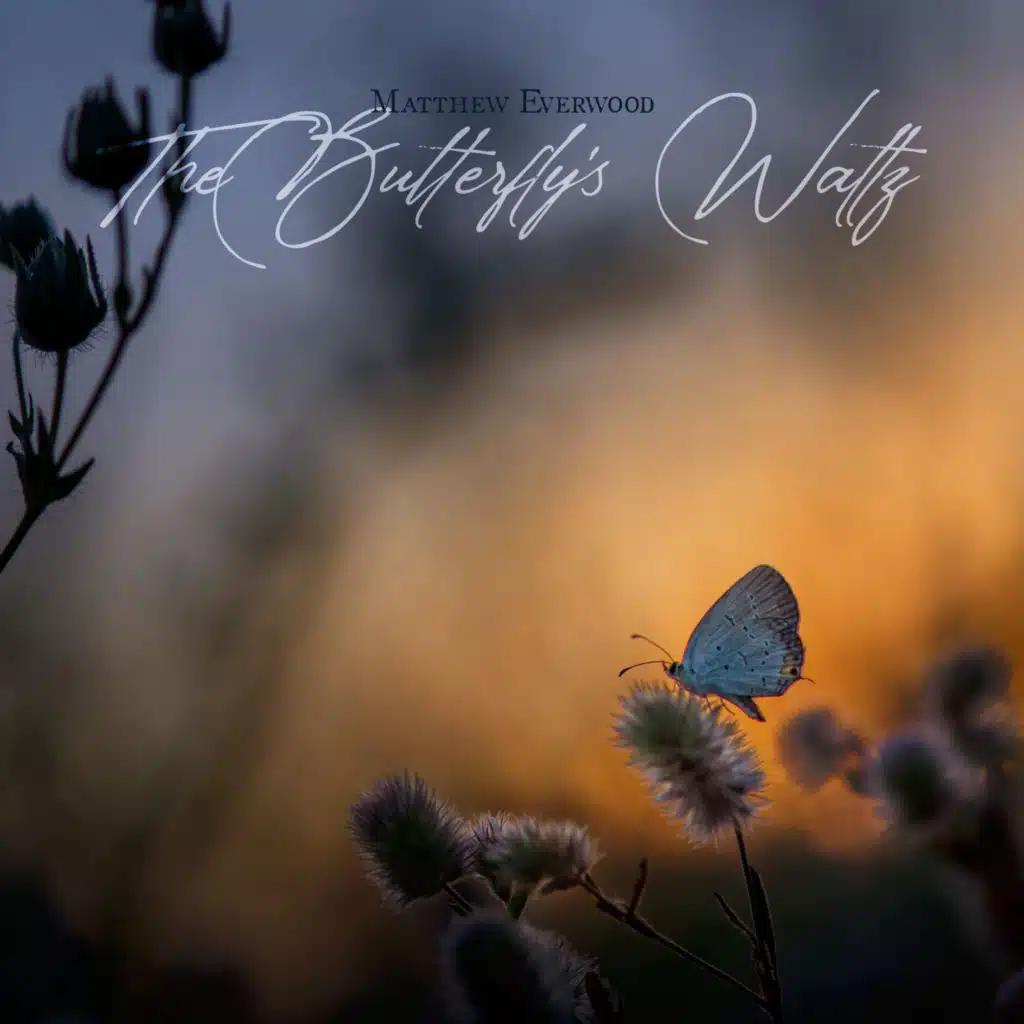 The Butterfly´s Waltz