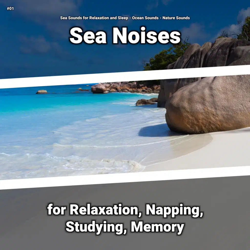 #01 Sea Noises for Relaxation, Napping, Studying, Memory