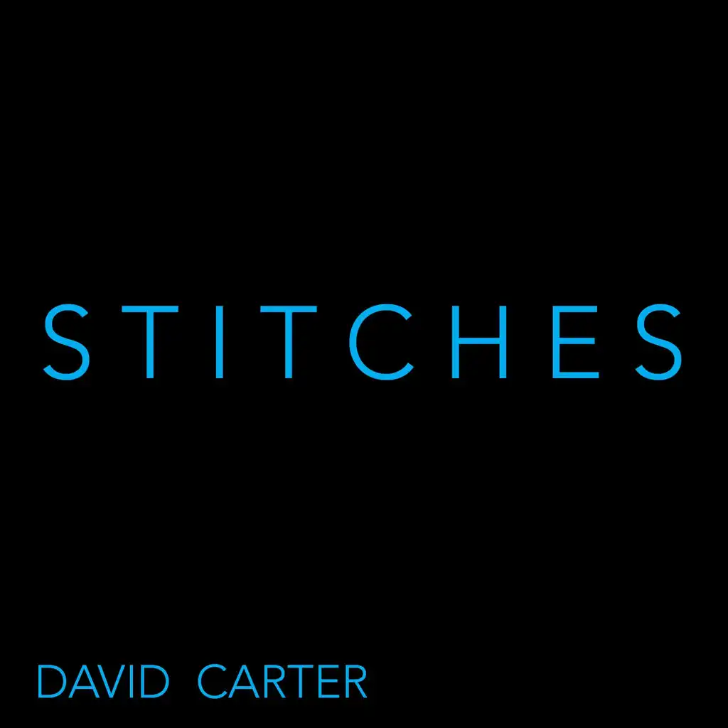 Stitches (Instrumental Version)