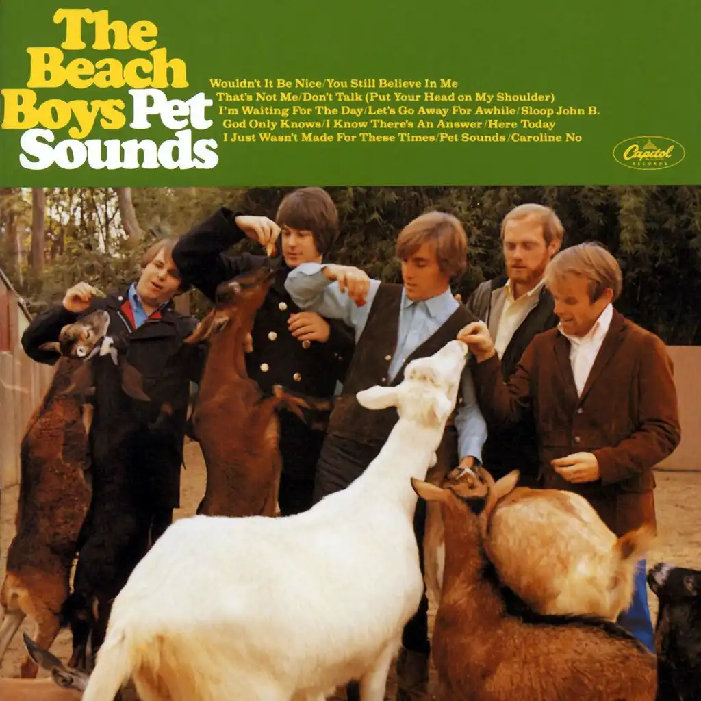 Wouldn't It Be Nice (Digitally Remastered 96)