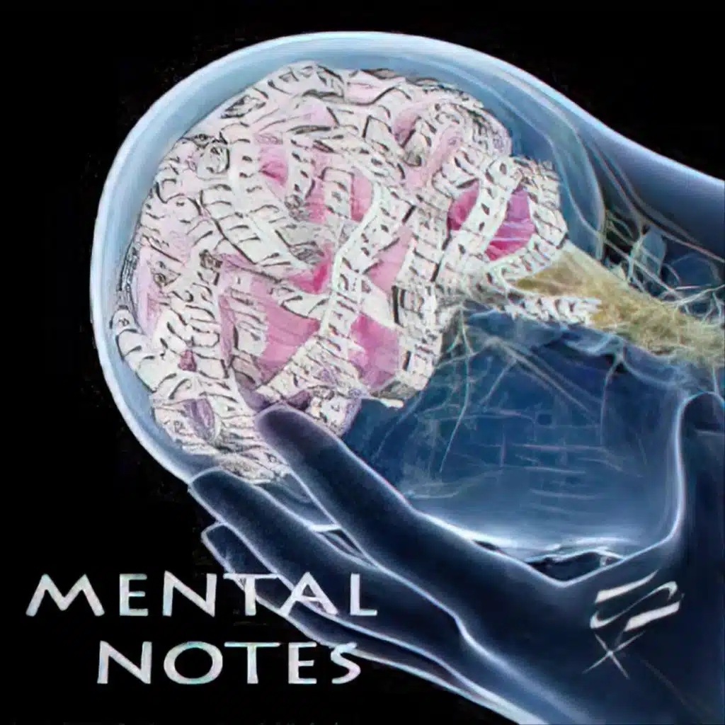 Mental Notes