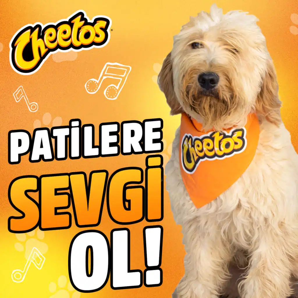 Sevgi (feat. Karya Çandar)
