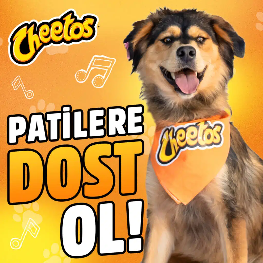 Dost (feat. Karya Çandar)