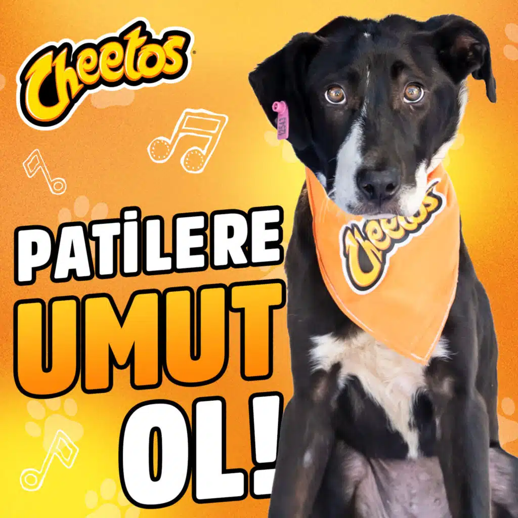 Umut (feat. Karya Çandar)