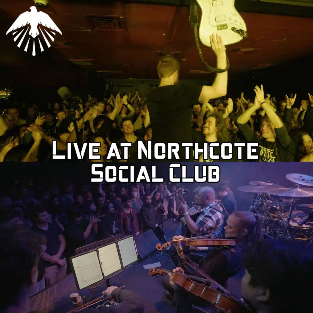Up Into The Ether (Live at Northcote Social Club) (Live)