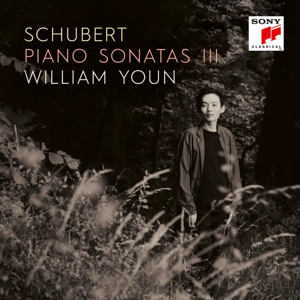 Piano Sonata No. 3 in E Major, D. 459: III. Adagio