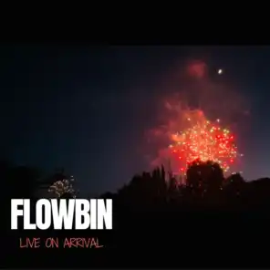 Flowbin