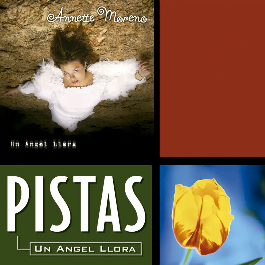 Un Angel Llora (Pista)