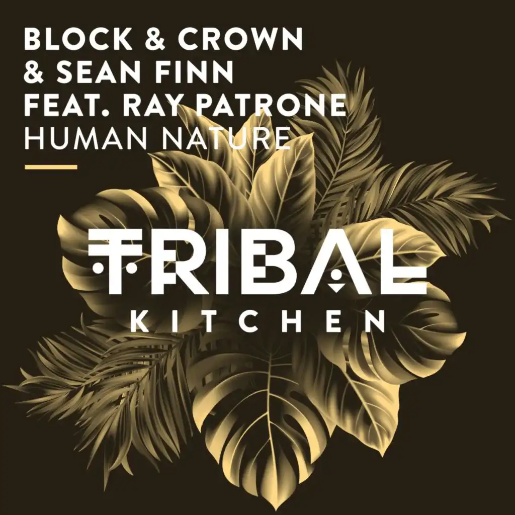 Human Nature (Extended Mix) [feat. Ray Patrone]