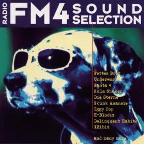 FM4 Soundselection Vol. 1