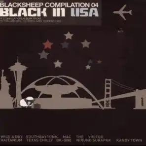 Black In USA