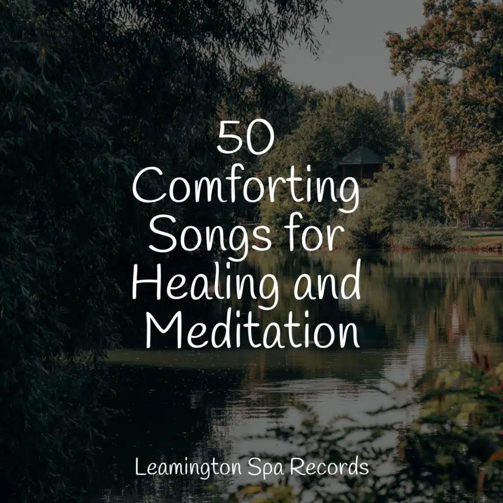50 Comforting Songs for Healing and Meditation