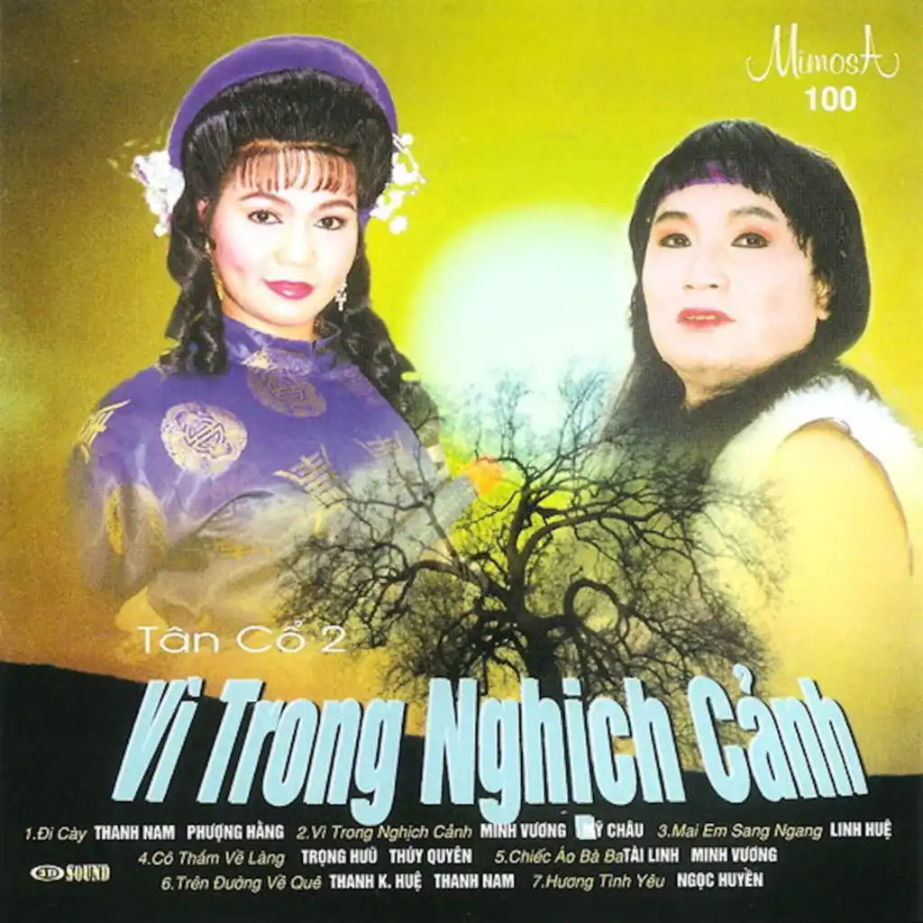 Phượng Hằng & Thanh Nam