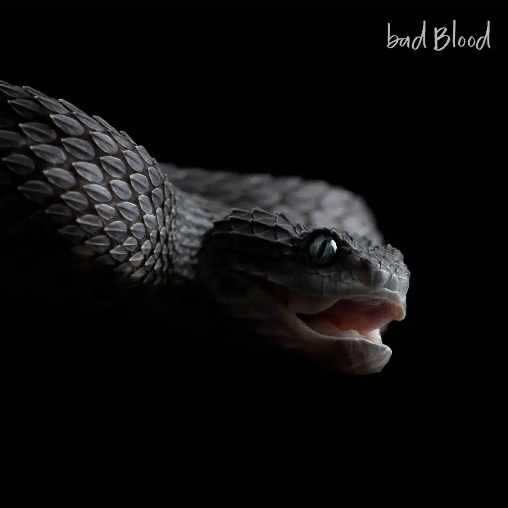 Every One of My Demons