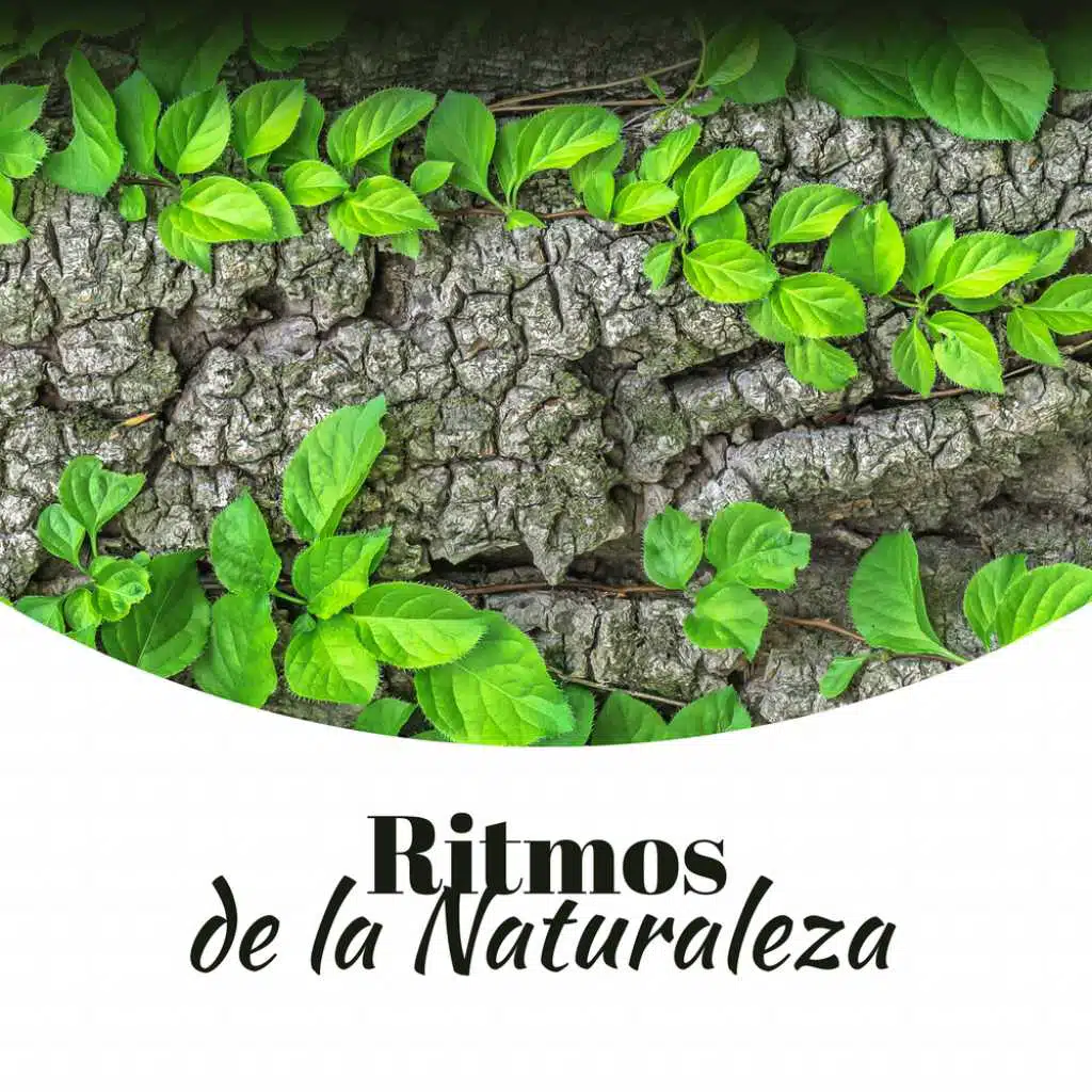 Ambiente de Bosque
