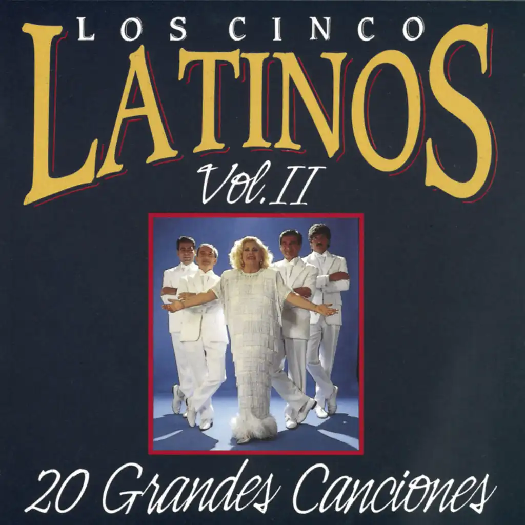 20 Grandes Canciones Vol. II
