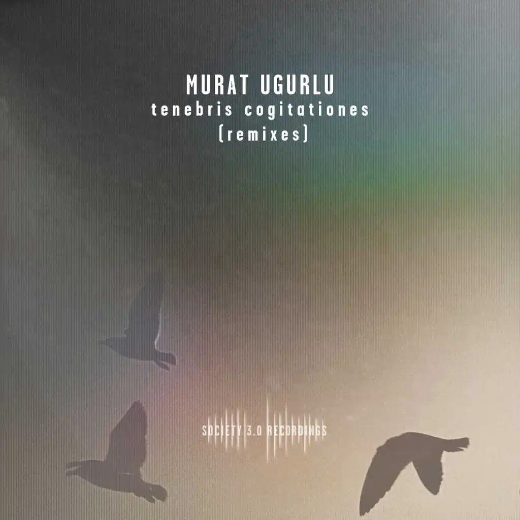 Tenebris cogitationes (Irene Radice Remix)