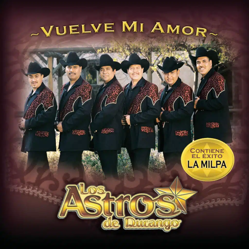 Vuelve Mi Amor