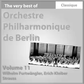 Sinfonia domestica, Op. 53: Thème I. Bewegt - Thème II. Sehr lebhaft - Thème III. Ruhig