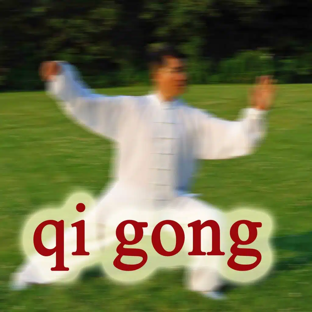 Qi gong (Ecosound musica relax meditazione)