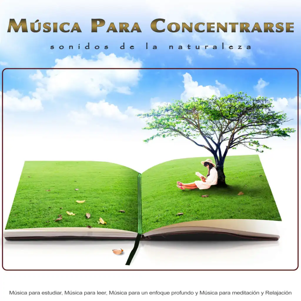 Musica para Concentrarse, Musica Para Leer & Estudiando