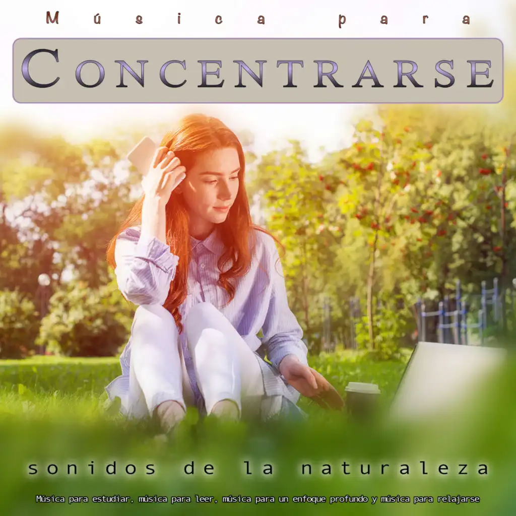 Música tranquila y sonidos de pájaros - Estudiar música