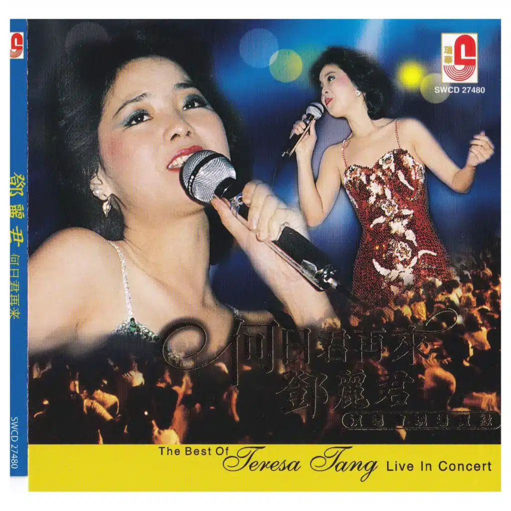 难忘的初恋情人 (福建)