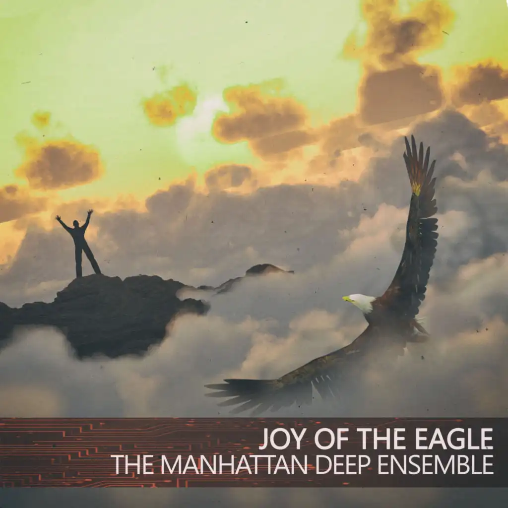 The Manhattan Deep Ensemble