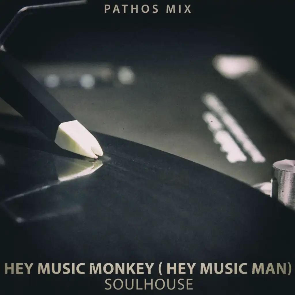 Hey Music Monkey (hey Music Man) (Pathos Mix) [feat. Ndango]