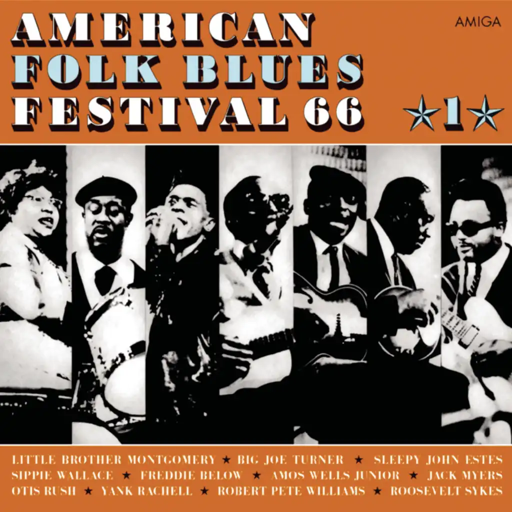 American Folk Blues Festival 66 Vol.1