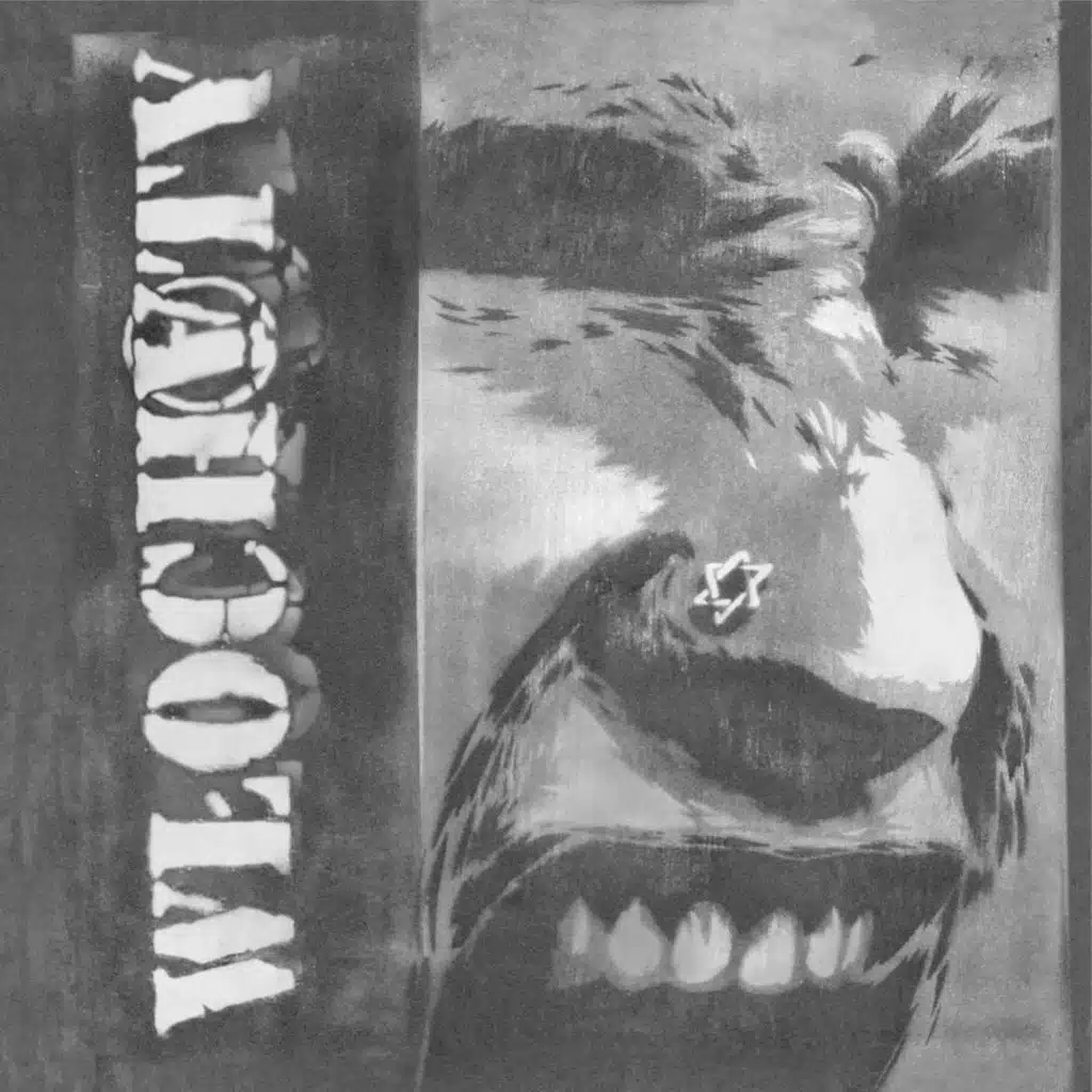 Włochaty