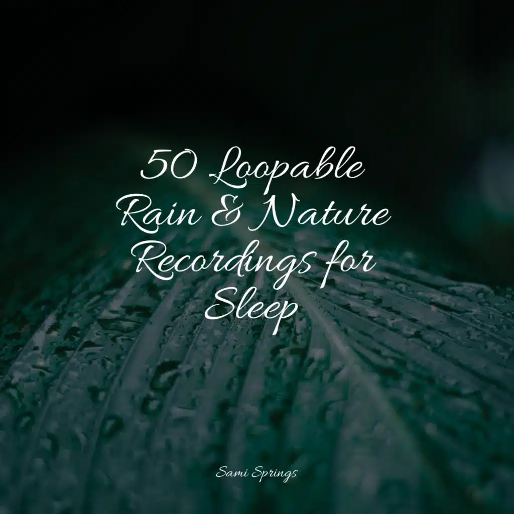 50 Loopable Rain & Nature Recordings for Sleep