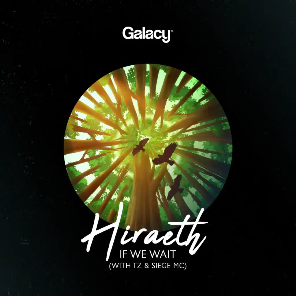 Hiraeth, TZ & Siege MC