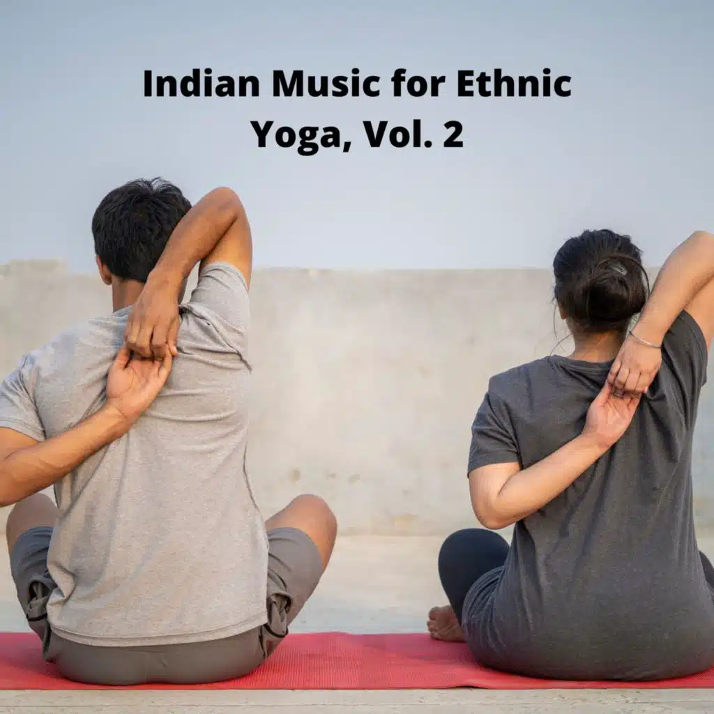 Indian Music For Ethnic Yoga, Vol. 2