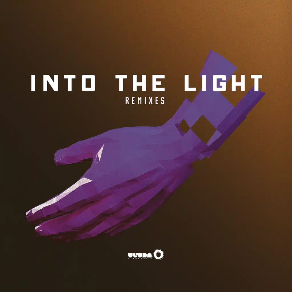 Into The Light (Remixes)